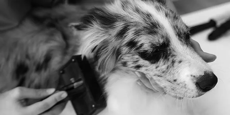 Imagen cabecera post