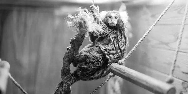 Imagen cabecera post