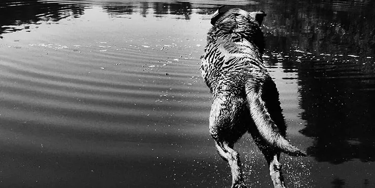 Imagen cabecera post