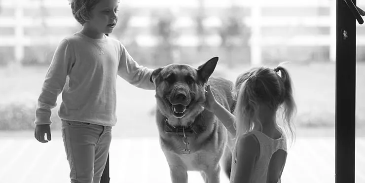 Imagen cabecera post