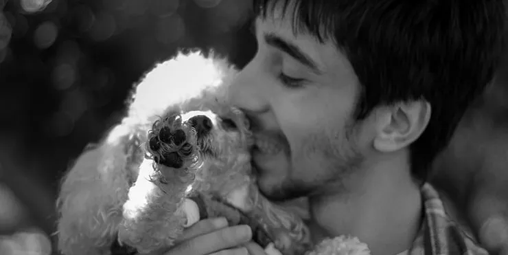 Imagen cabecera post