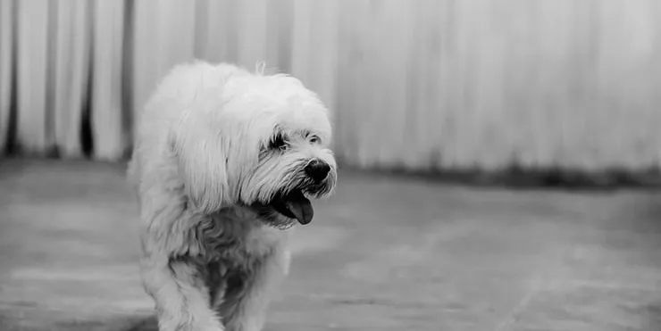 Imagen cabecera post