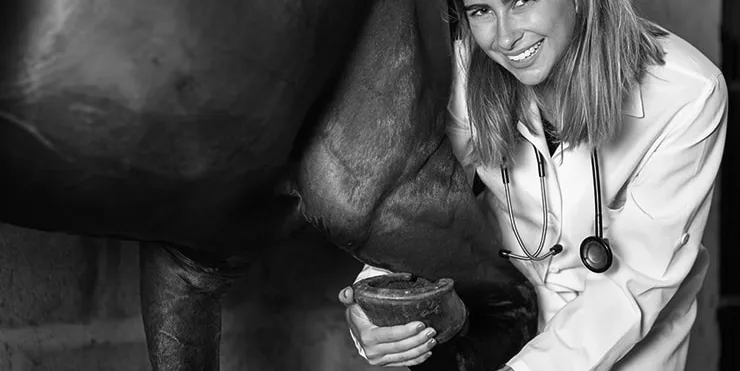 Imagen cabecera post