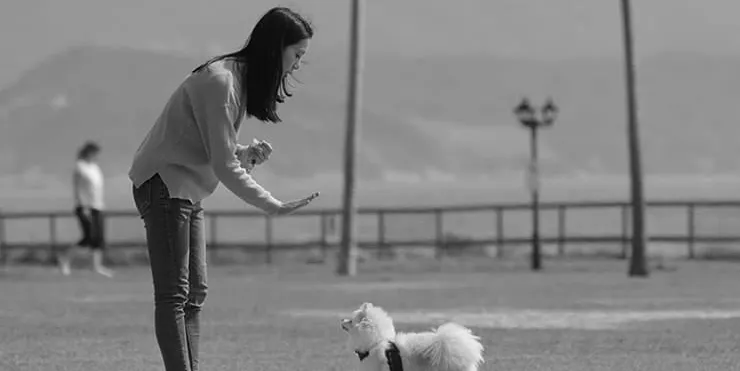 Imagen cabecera post