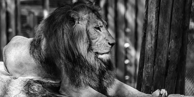 Imagen cabecera post