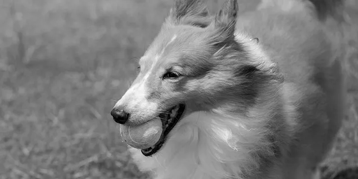 Imagen cabecera post