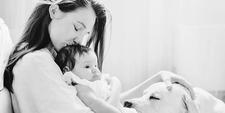 Imagen cabecera post