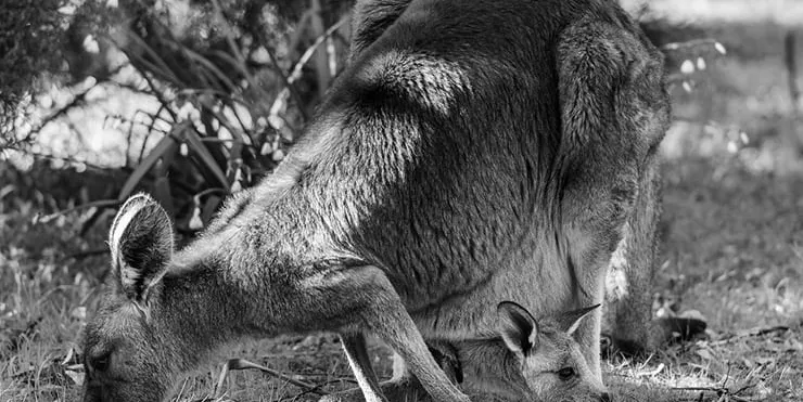 Imagen cabecera post