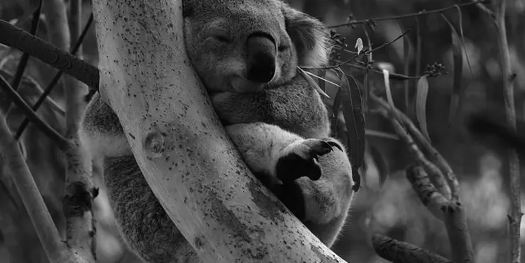 Imagen cabecera post