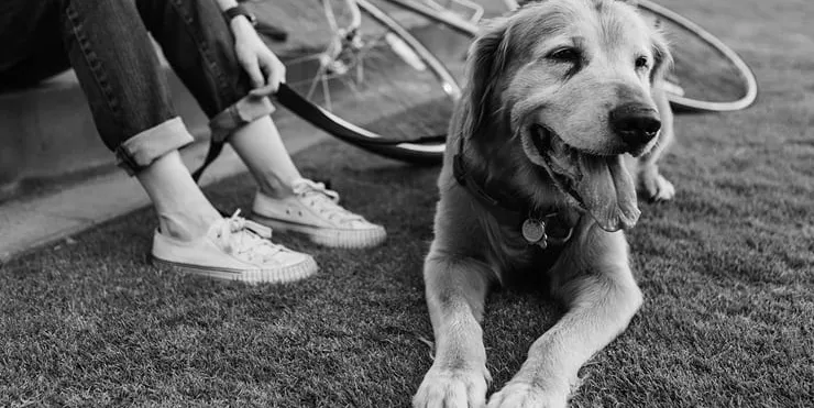 Imagen cabecera post