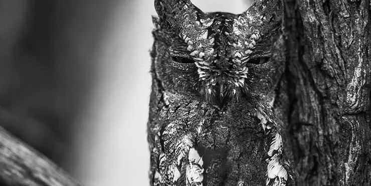 Imagen cabecera post