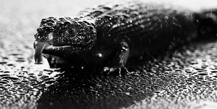 Imagen cabecera post