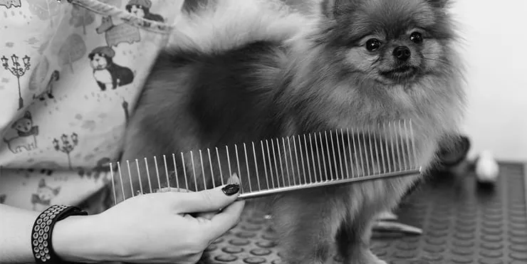 Imagen cabecera post