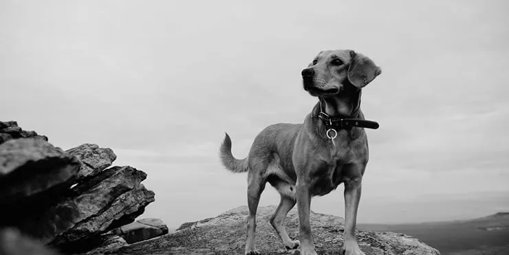 Imagen cabecera post