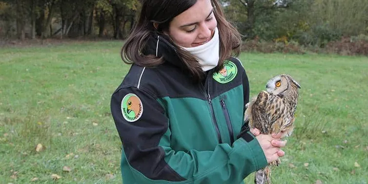 Imagen cabecera post