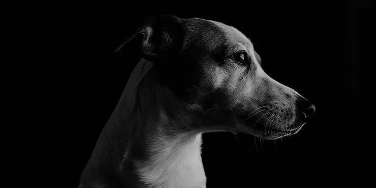 Imagen cabecera post