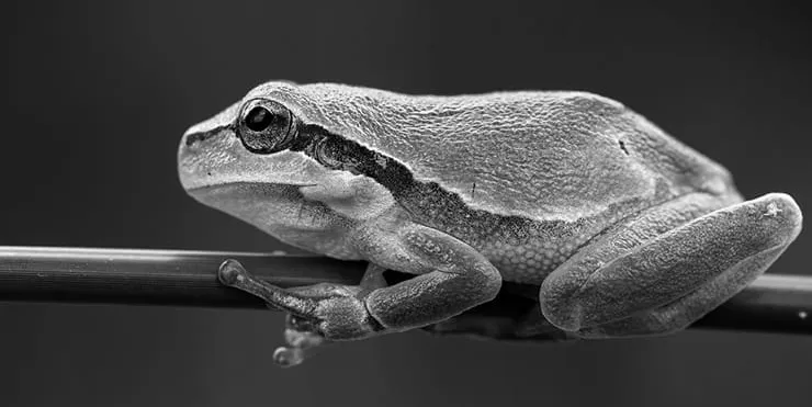 Imagen cabecera post