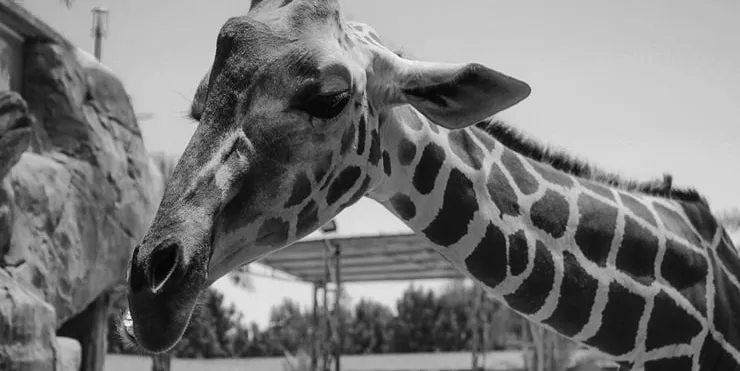 Imagen cabecera post