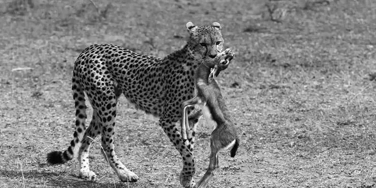 Imagen cabecera post