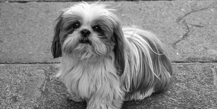 Imagen cabecera post