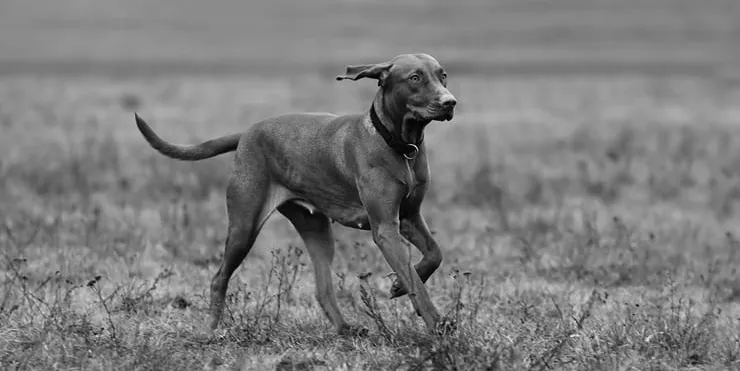 Imagen cabecera post