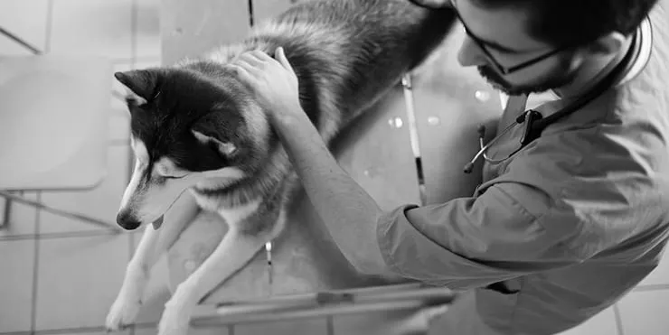 Imagen cabecera post