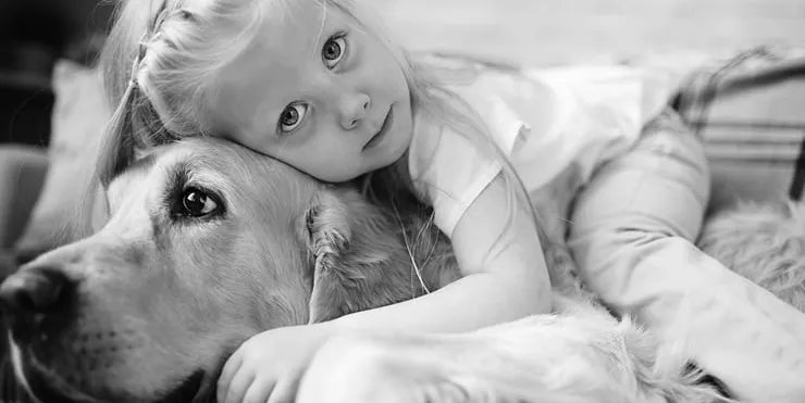 Imagen cabecera post