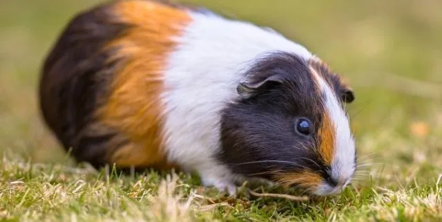 Imagen cabecera post