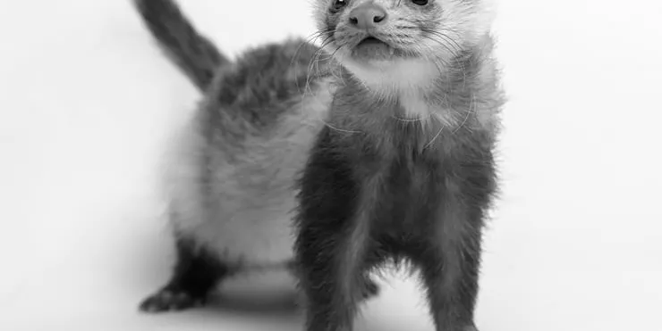 Imagen cabecera post