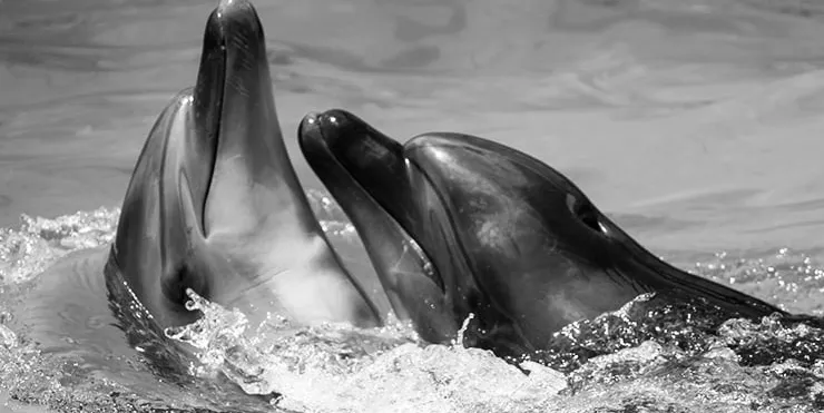 Imagen cabecera post