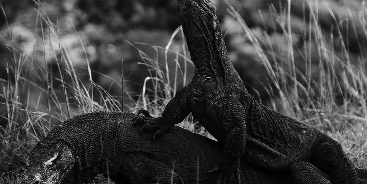 Imagen cabecera post