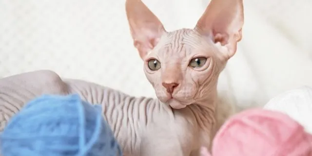 Imagen cabecera post