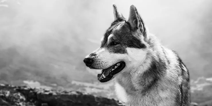 Imagen cabecera post