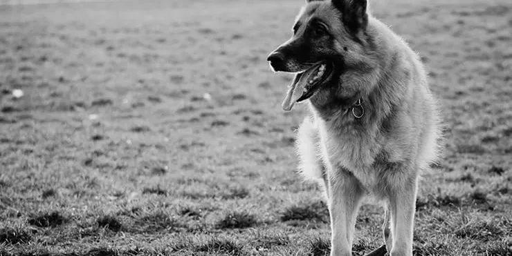 Imagen cabecera post