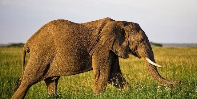 Imagen cabecera post