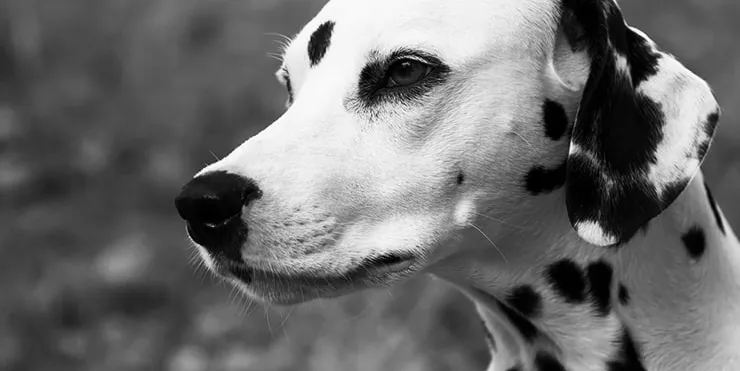 Imagen cabecera post