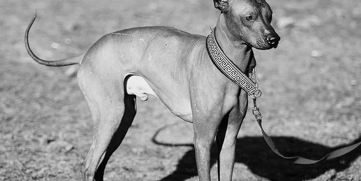 Imagen cabecera post