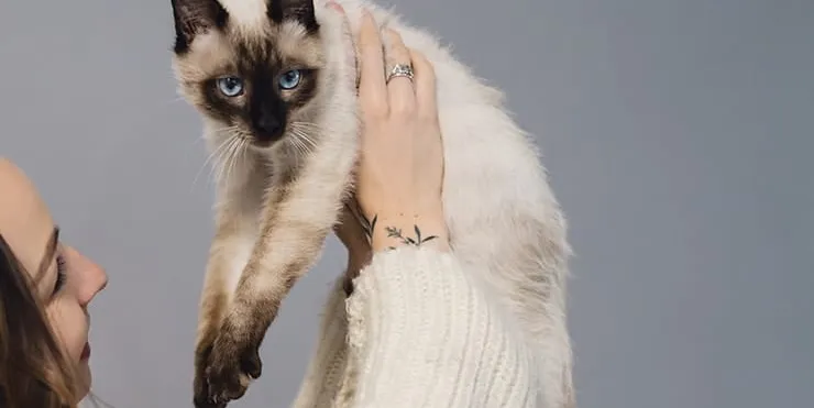 Imagen cabecera post