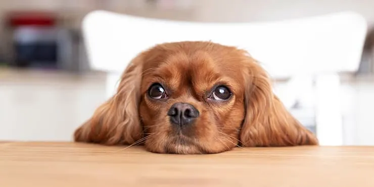 Imagen cabecera post