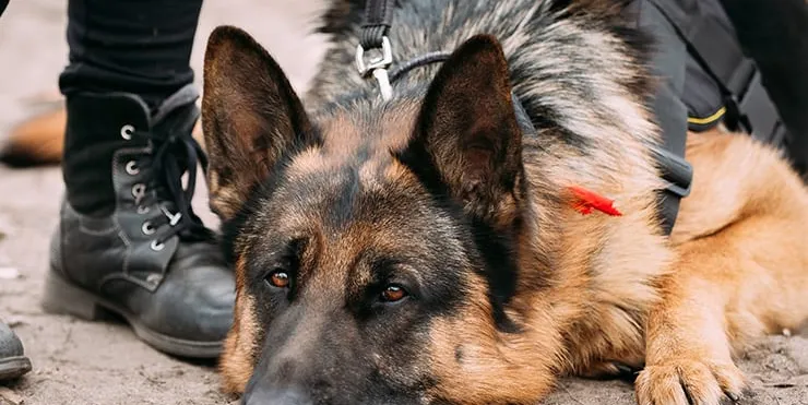 Imagen cabecera post