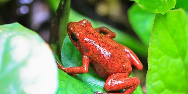 Imagen cabecera post