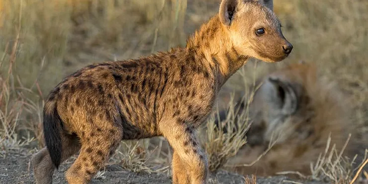 Imagen cabecera post