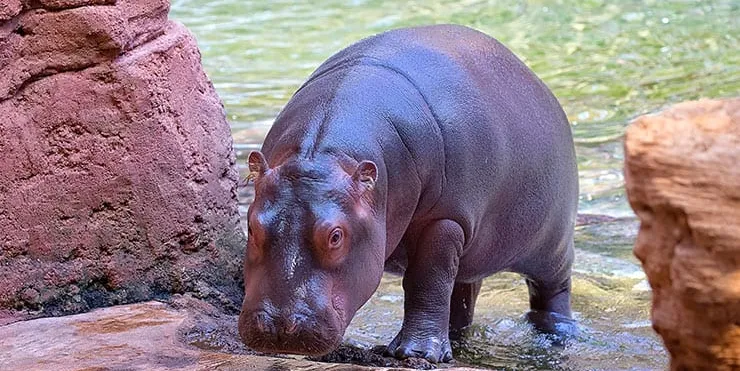 Imagen cabecera post