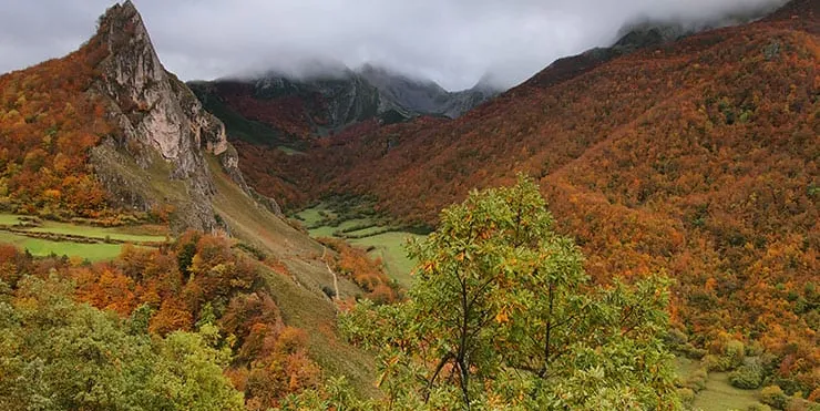 Imagen cabecera post