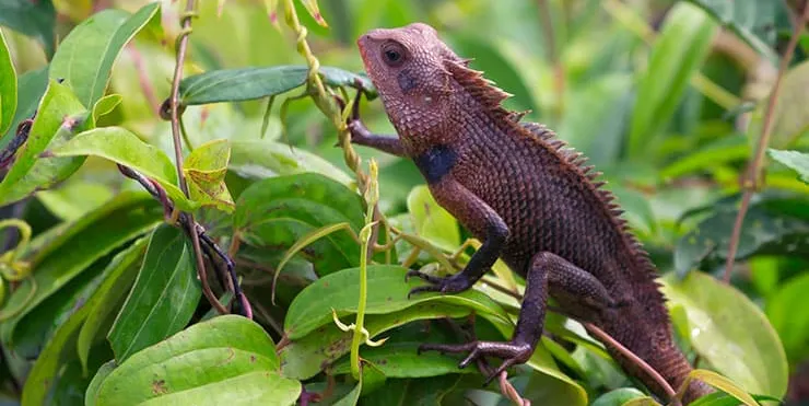 Imagen cabecera post