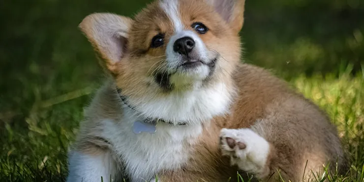 Imagen cabecera post