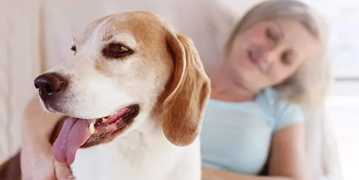 Imagen cabecera post