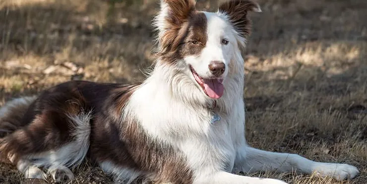 Imagen cabecera post