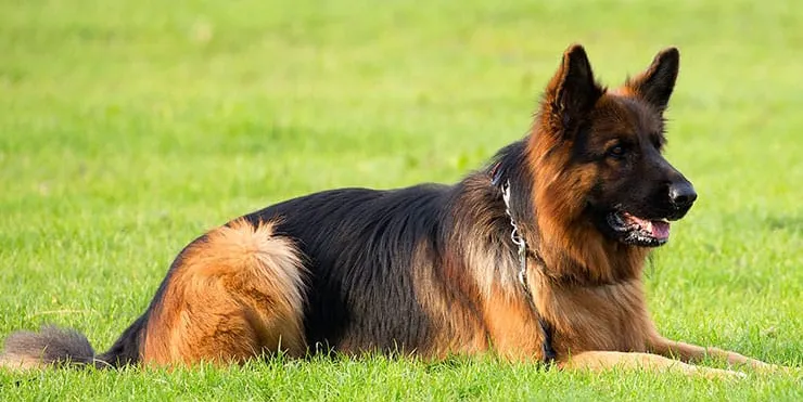 Imagen cabecera post