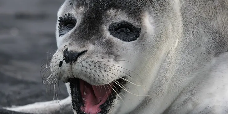 Imagen cabecera post